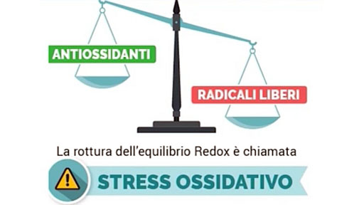 Lo stress ossidativo