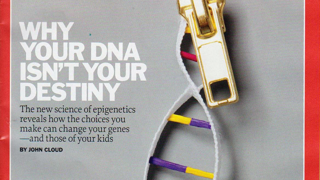 Abbiamo un destino tracciato dai nostri geni? 
